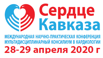 Logo SK 2020