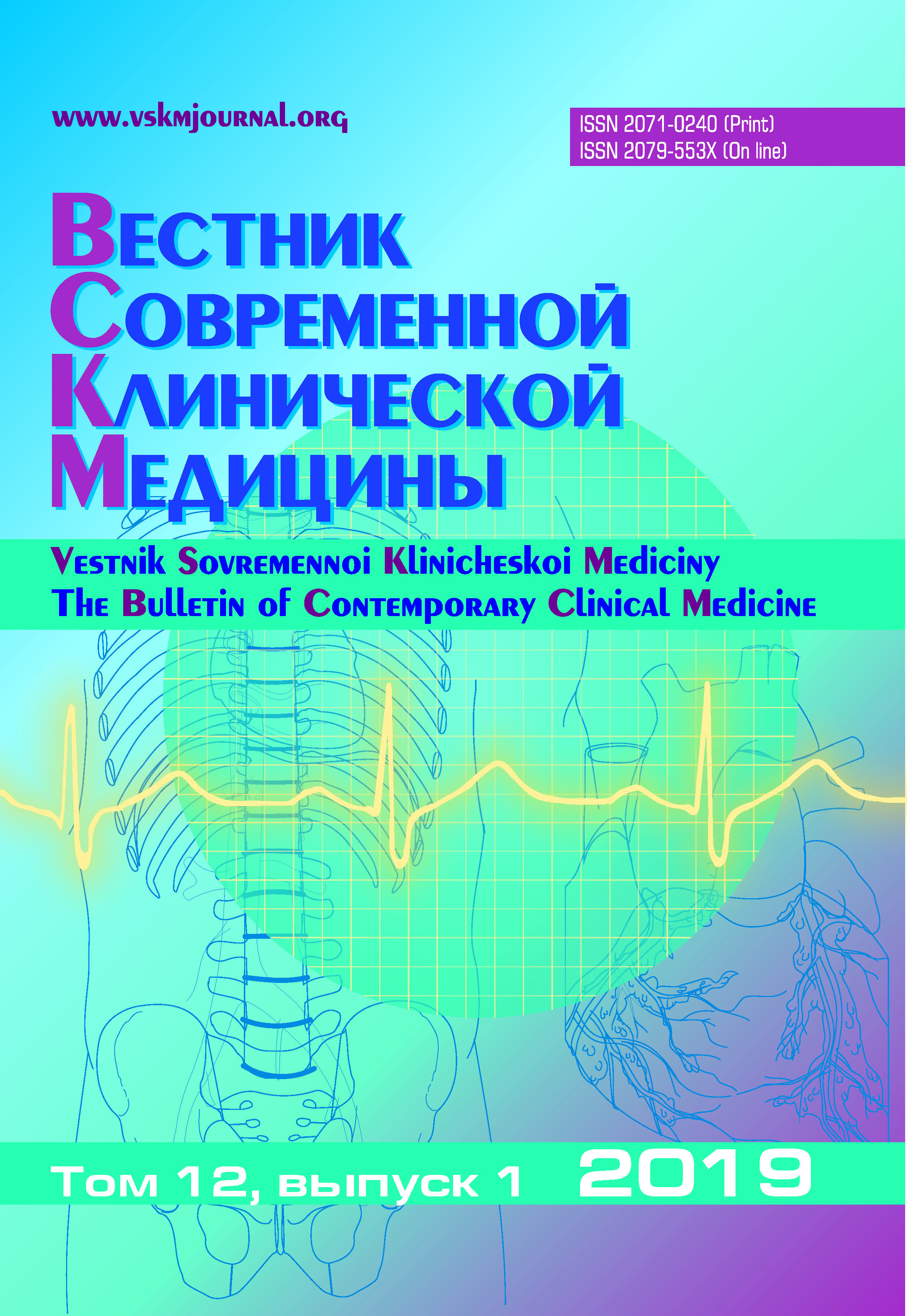 VSKM 2019 N 1 cover