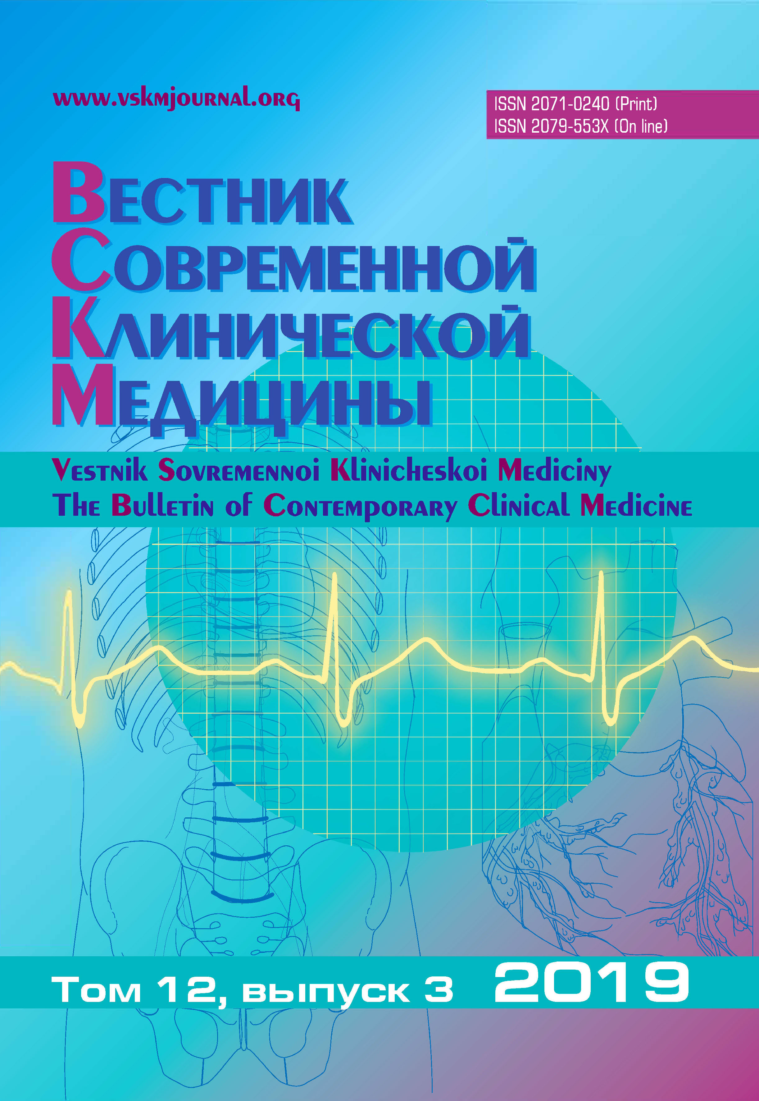VSKM 2019 N 3 cover