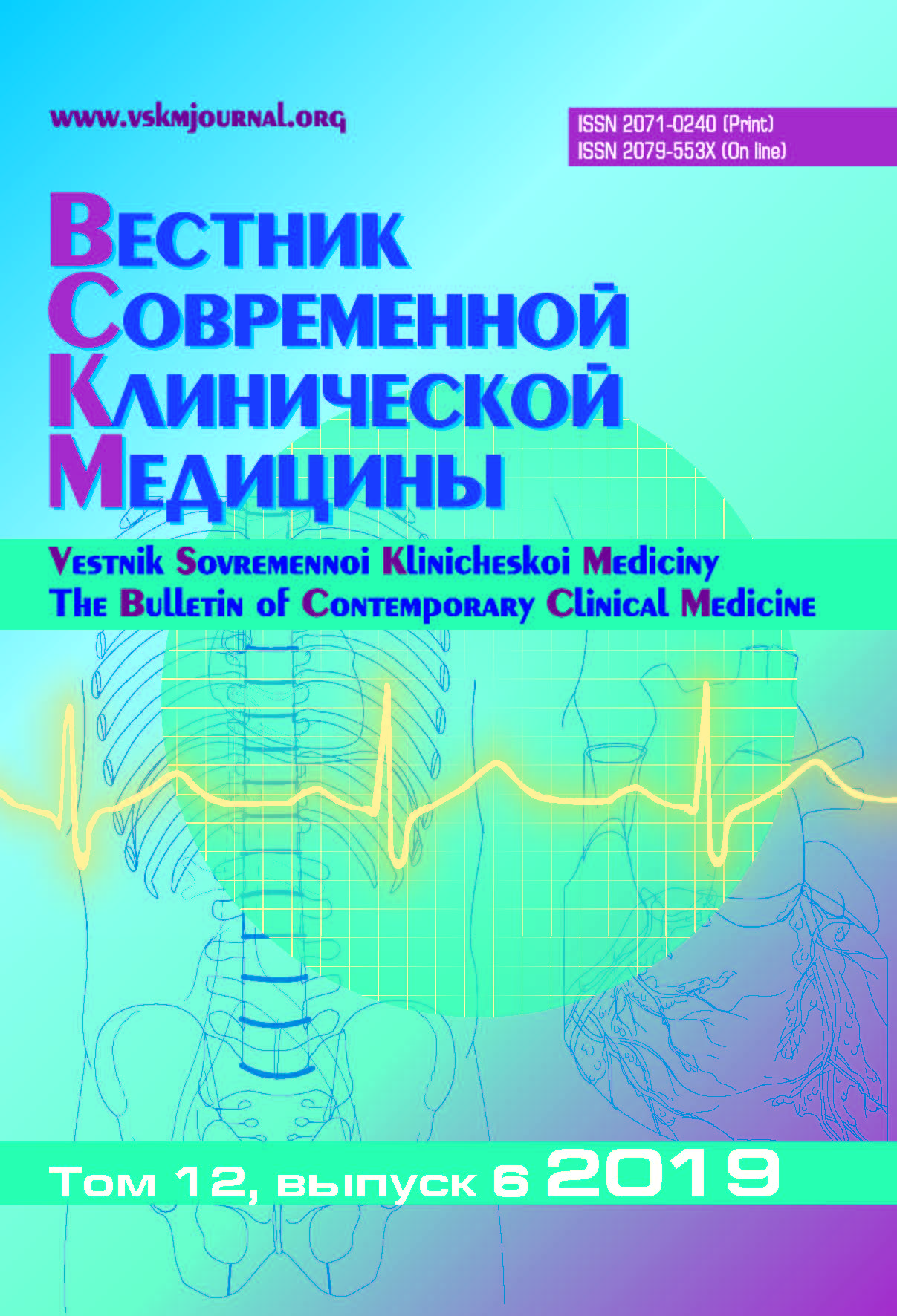 VSKM 2019 N 6 cover