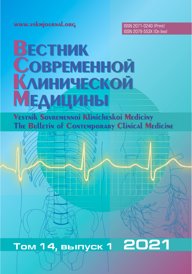 VSKM 2020 N 1