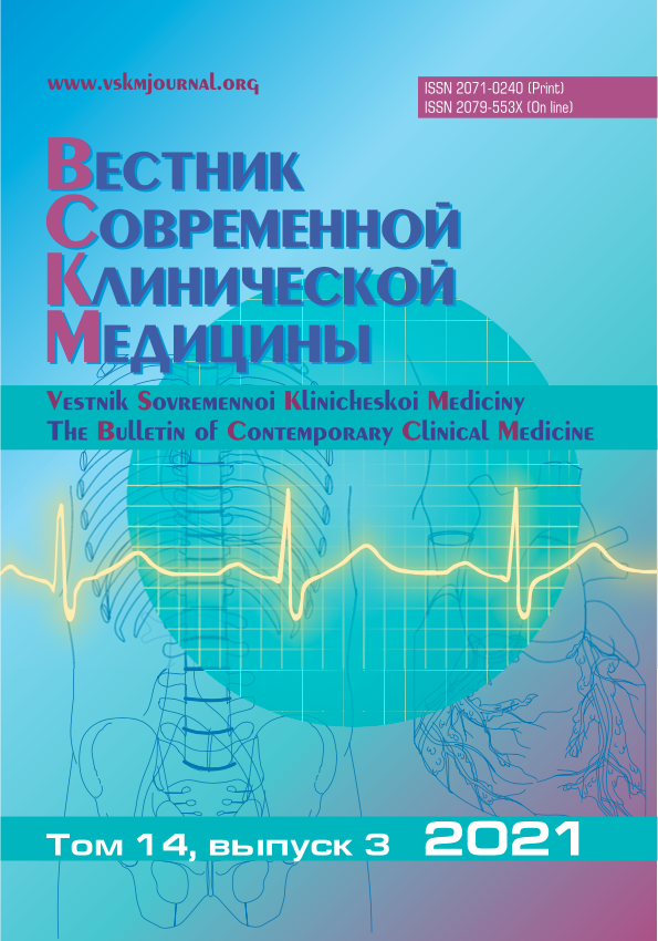 VSKM 2021 N 3