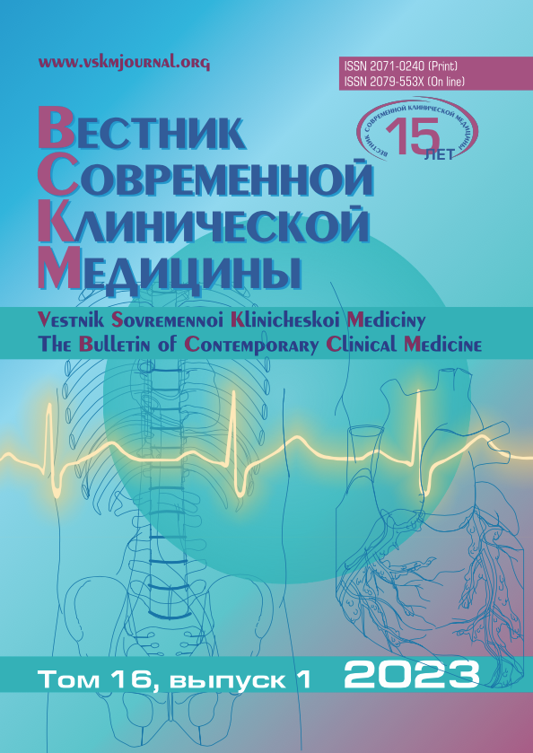 VSKM 2023 N 1