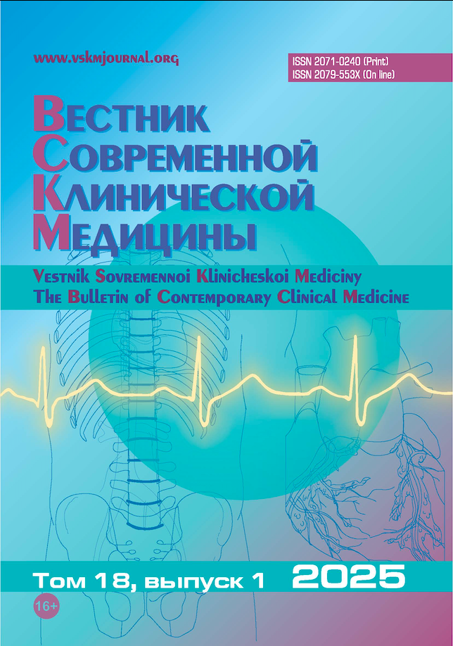 VSKM 2025 N 1